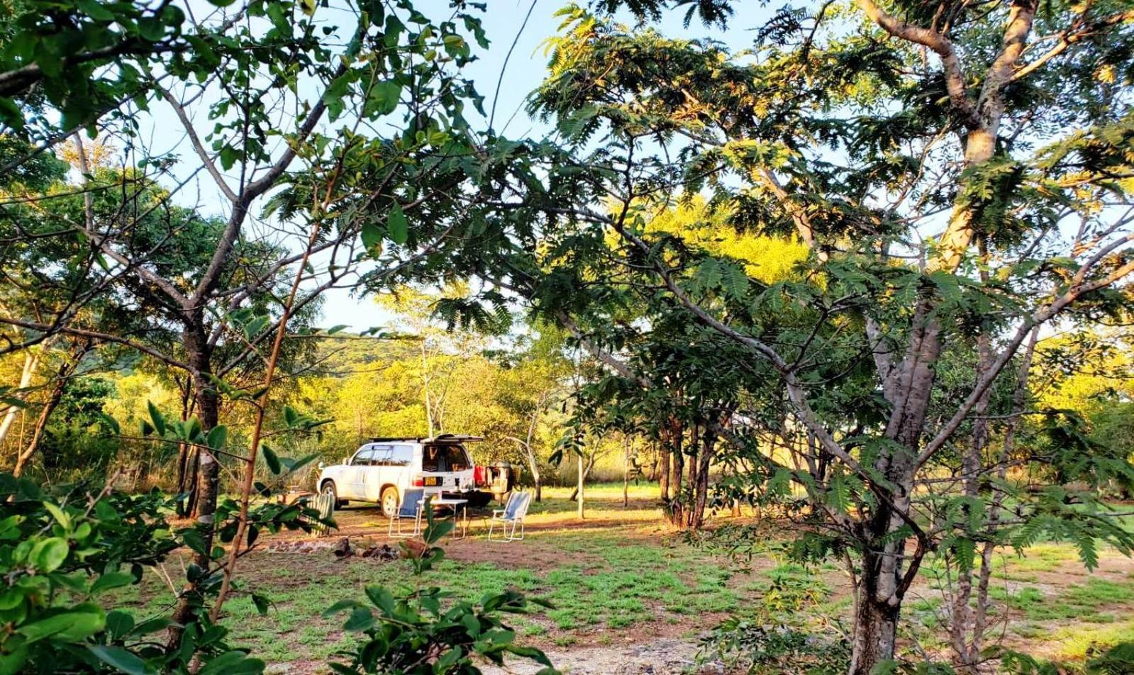 Musangano Lodge Odzi ภายนอก รูปภาพ