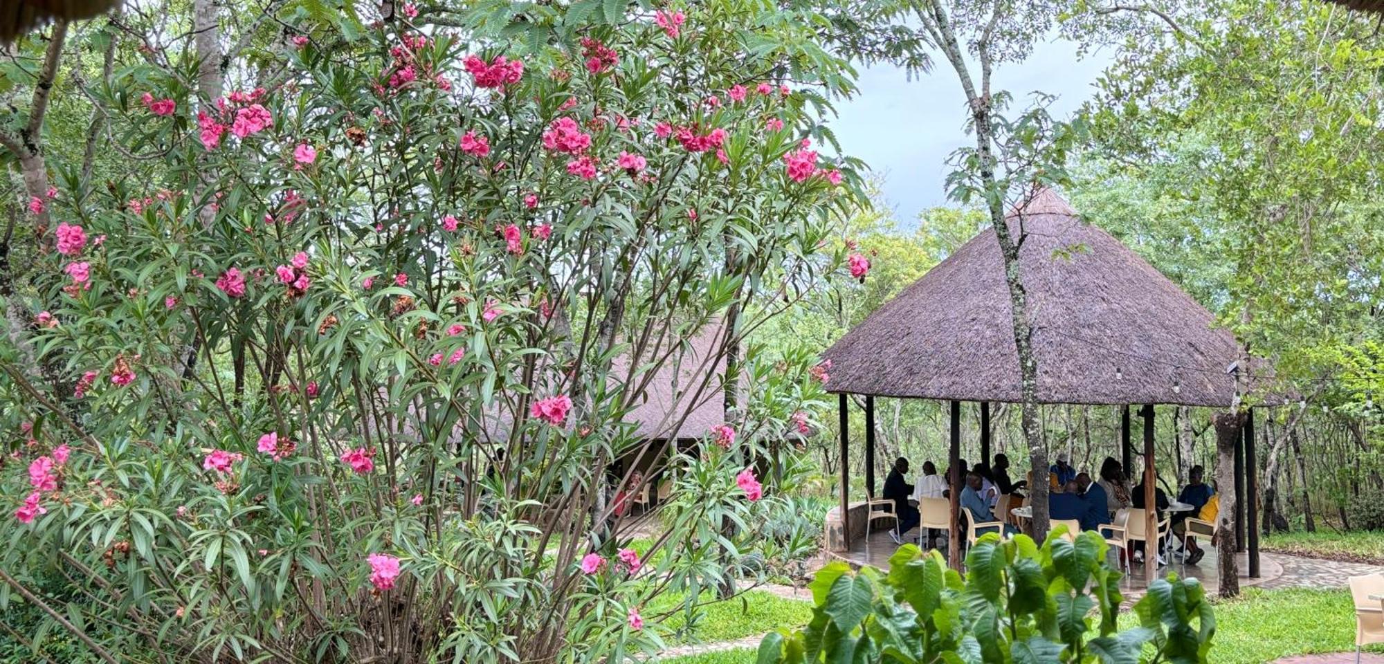 Musangano Lodge Odzi ภายนอก รูปภาพ
