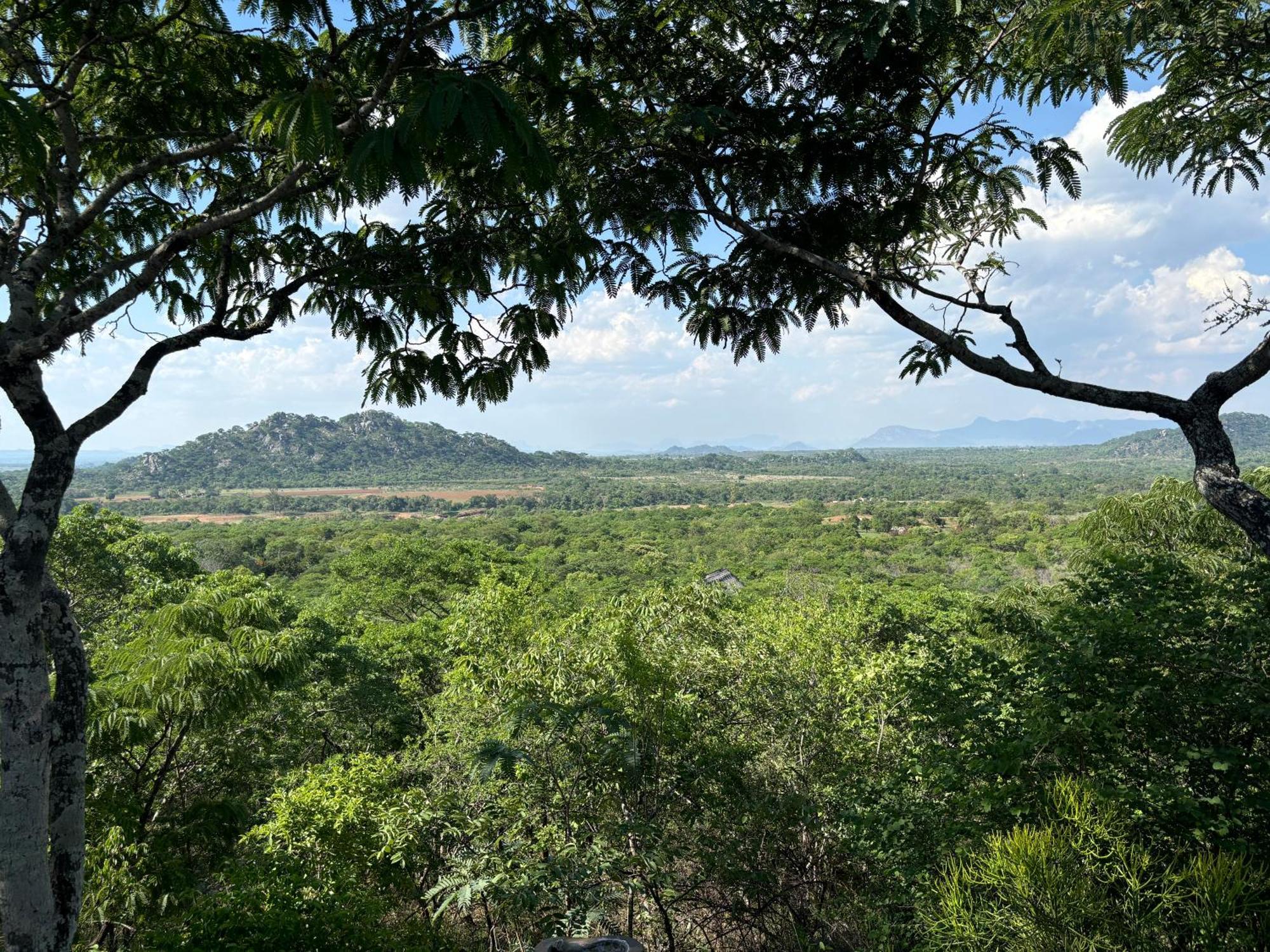 Musangano Lodge Odzi ภายนอก รูปภาพ